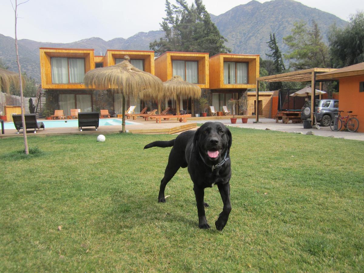 Cajon Del Maipo Lodge ซานโคเซ เด ไมย์โป ภายนอก รูปภาพ